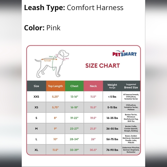 🐾NEW Top Paw Comfort Dog Harness XL - Picture 5 of 5